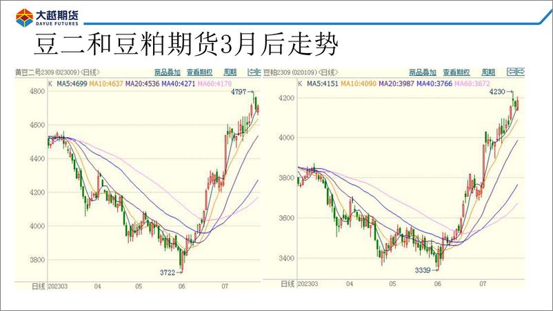 光大期货1227深度解析：豆粕反弹行情能走多远？