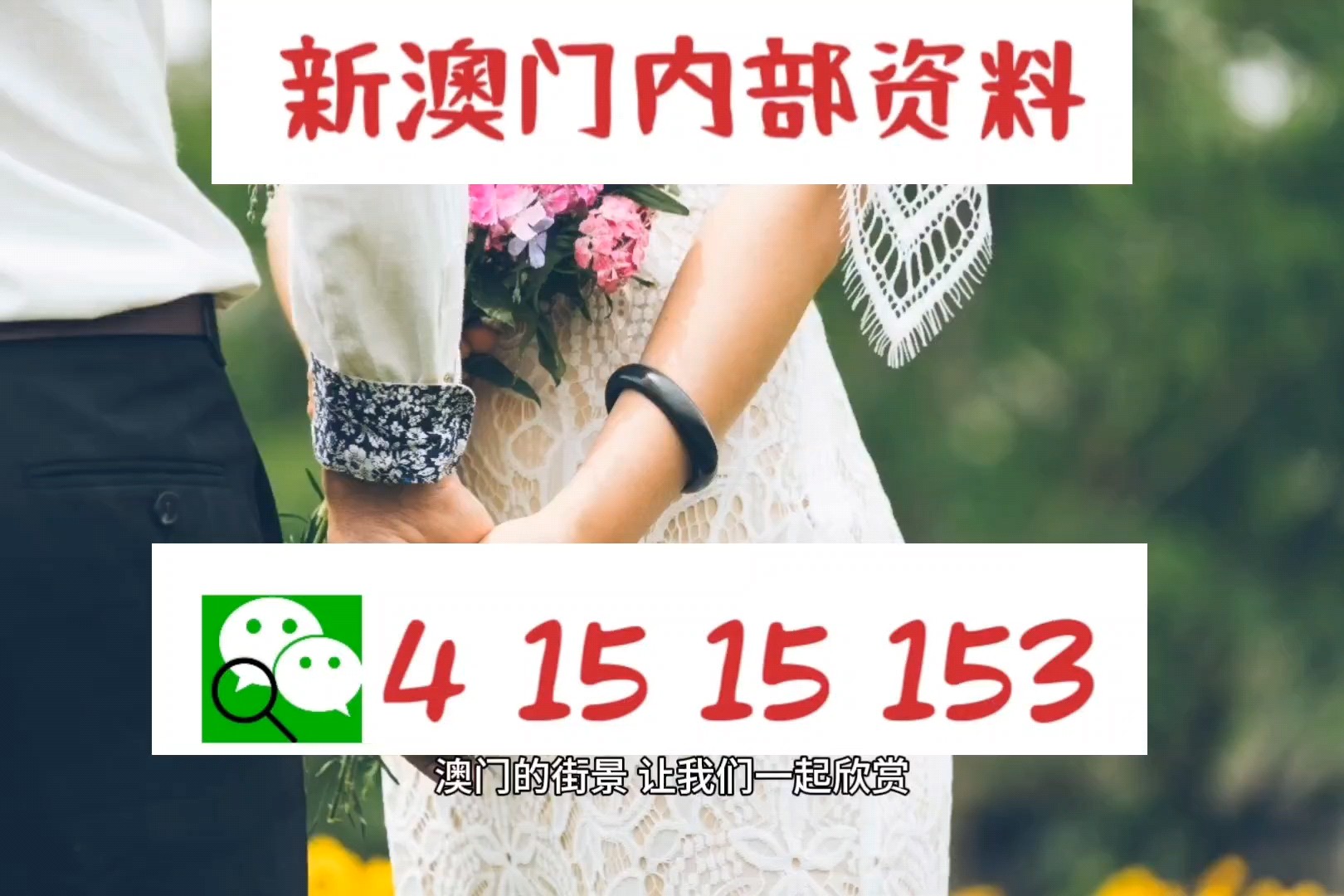 新澳澳门免费资料网址是什么纸｜精选解释解析落实