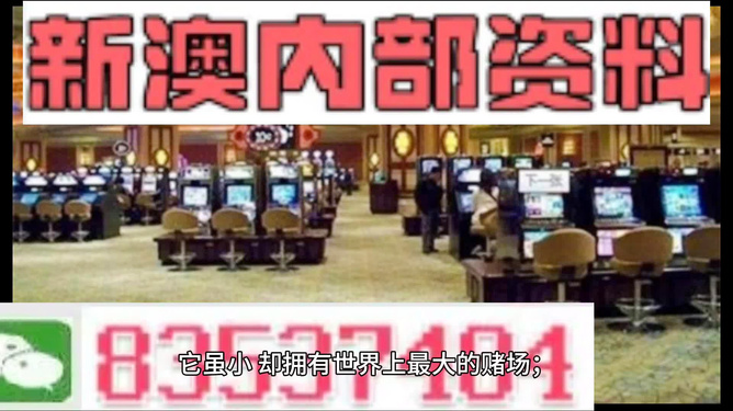 新澳门2024正版资料免费公开｜精选解释解析落实