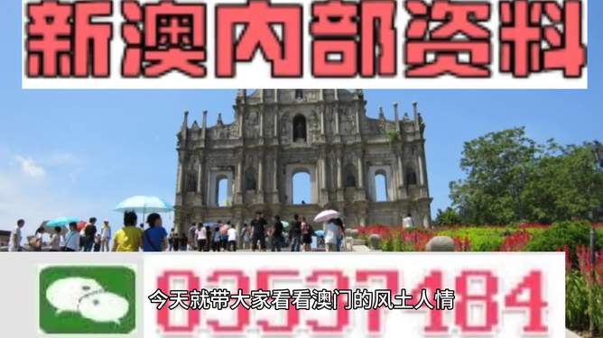2024年新澳资料免费大全｜精选解释解析落实